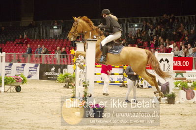 Dansk varmblod hingstekåring.
KRAFFT Tours of Amateurs FINALE
Nøgleord: julie armose jensen;chapman z