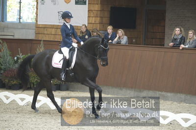 Dansk Rideforbunds Championats finaler 2018 dressur
Dansk Rideforbunds Championats finaler 2018
5 års præmie - 6års klassen
Nøgleord: fürstenflame;anne sofie aaen