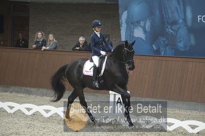 Dansk Rideforbunds Championats finaler 2018 dressur
Dansk Rideforbunds Championats finaler 2018
5 års præmie - 6års klassen
Nøgleord: fürstenflame;anne sofie aaen