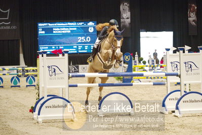 Dansk varmblod hingstekåring.
KRAFFT Tours of Amateurs FINALE
Nøgleord: mette askham jensen;rockchester