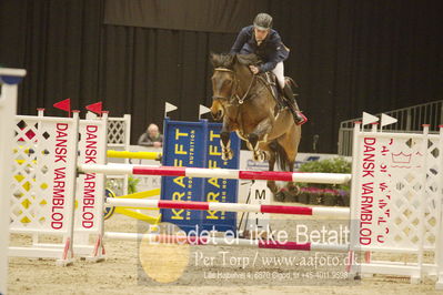 Dansk varmblod hingstekåring.
KRAFFT Tours of Amateurs FINALE
Nøgleord: magnus elkalady;spirit