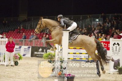 Dansk varmblod hingstekåring.
KRAFFT Tours of Amateurs FINALE
Nøgleord: Lykke harm;carmiro c