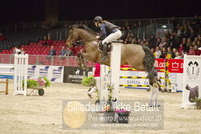 Dansk varmblod hingstekåring.
KRAFFT Tours of Amateurs FINALE
