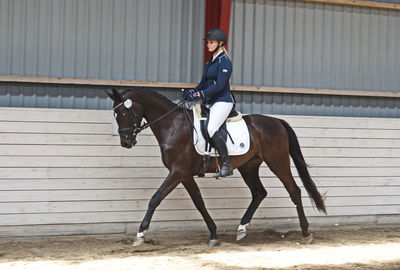 Følskue - hoppekåringer-schau
Ringsted 2018
Nøgleord: celindo by uniqhors