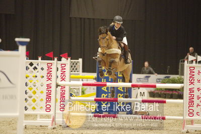 Dansk varmblod hingstekåring.
KRAFFT Tours of Amateurs FINALE
Nøgleord: vicky mathiesen;dejo