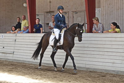 Følskue - hoppekåringer-schau
Ringsted 2018
Nøgleord: celindo by uniqhors