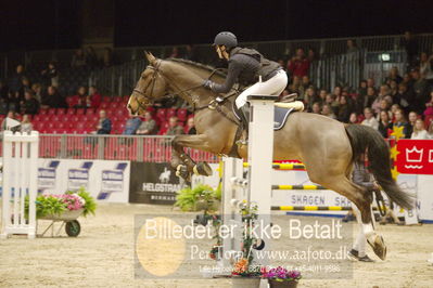 Dansk varmblod hingstekåring.
KRAFFT Tours of Amateurs FINALE
Nøgleord: lisa møller andersen;heartland prydsholm