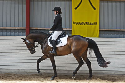 Følskue - hoppekåringer-schau
Ringsted 2018
Nøgleord: coco chanel blue