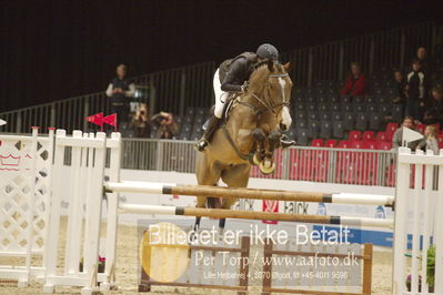 Dansk varmblod hingstekåring.
KRAFFT Tours of Amateurs FINALE
Nøgleord: lisa møller andersen;heartland prydsholm