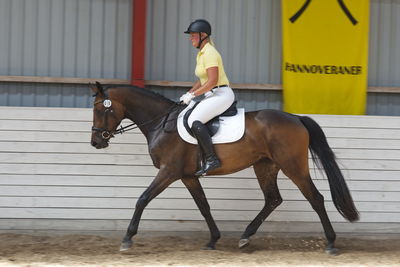 Følskue - hoppekåringer-schau
Ringsted 2018
Nøgleord: coco chanel blue