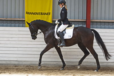 Følskue - hoppekåringer-schau
Ringsted 2018
Nøgleord: h hot l'hotte by uniqhors