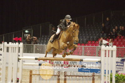 Dansk varmblod hingstekåring.
KRAFFT Tours of Amateurs FINALE
Nøgleord: berit wheler;lasar h