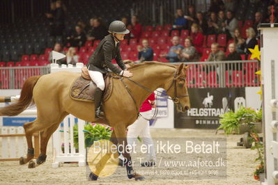 Dansk varmblod hingstekåring.
KRAFFT Tours of Amateurs FINALE
Nøgleord: berit wheler;lasar h