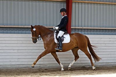 Følskue - hoppekåringer-schau
Ringsted 2018
Nøgleord: serefina