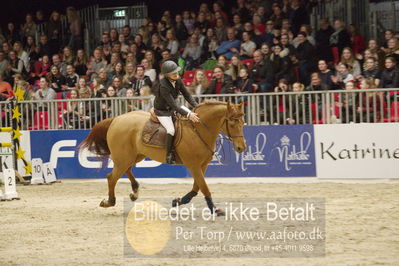 Dansk varmblod hingstekåring.
KRAFFT Tours of Amateurs FINALE
Nøgleord: berit wheler;lasar h