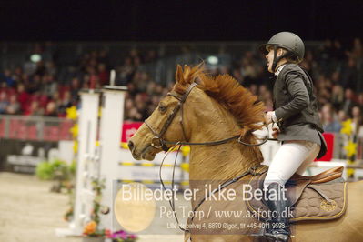 Dansk varmblod hingstekåring.
KRAFFT Tours of Amateurs FINALE
Nøgleord: berit wheler;lasar h