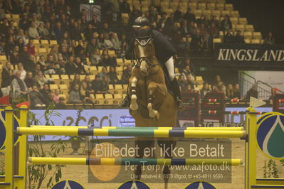 Dansk varmblod hingstekåring.
STUTTERI ASK Grand Prix 150 cm CSI3
Nøgleord: glen narcos;alpicor