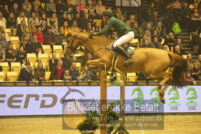 Dansk varmblod hingstekåring.
STUTTERI ASK Grand Prix 150 cm CSI3
Nøgleord: harm lahde;oak grove's heartfelt