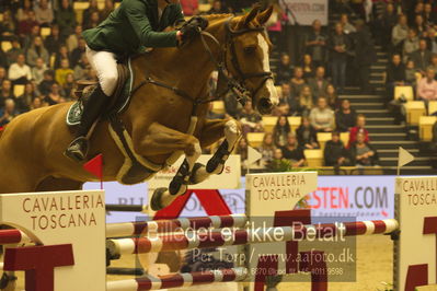 Dansk varmblod hingstekåring.
STUTTERI ASK Grand Prix 150 cm CSI3
Nøgleord: harm lahde;oak grove's heartfelt