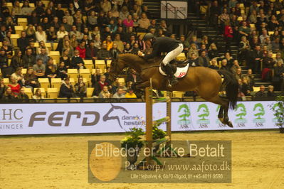 Dansk varmblod hingstekåring.
STUTTERI ASK Grand Prix 150 cm CSI3
Nøgleord: robert vos;carat