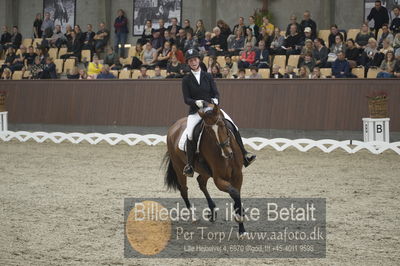 Dansk Rideforbunds Championats finaler 2018 dressur
Dansk Rideforbunds Championats finaler 2018
5 års præmie - 6års klassen
Nøgleord: zippo m i;michaela damm-frydenberg