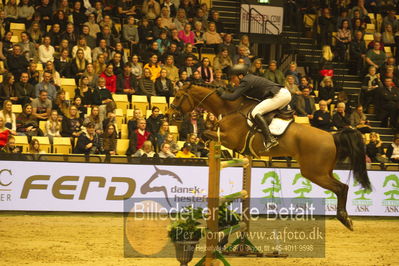 Dansk varmblod hingstekåring.
STUTTERI ASK Grand Prix 150 cm CSI3
Nøgleord: karl borcks;caramba 70