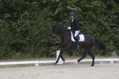 Følskue - hoppekåringer-schau
Ringsted 2018
Nøgleord: 2018-21;sezuan;don crusador