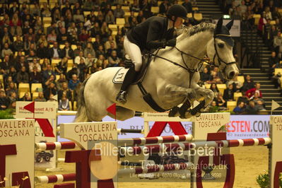 Dansk varmblod hingstekåring.
STUTTERI ASK Grand Prix 150 cm CSI3
Nøgleord: hege c tidemandsen;carvis