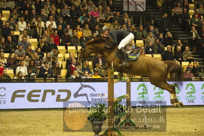 Dansk varmblod hingstekåring.
STUTTERI ASK Grand Prix 150 cm CSI3
Nøgleord: felix hassmann;balance 30