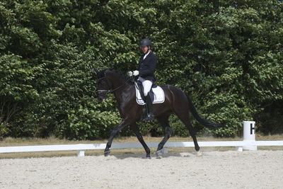 Følskue - hoppekåringer-schau
Ringsted 2018
Nøgleord: 2018-21;sezuan;don crusador