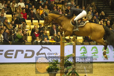 Dansk varmblod hingstekåring.
STUTTERI ASK Grand Prix 150 cm CSI3
Nøgleord: lisa ulven;didi de goedereede