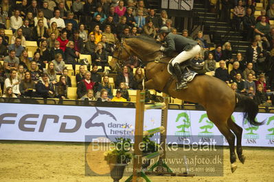 Dansk varmblod hingstekåring.
STUTTERI ASK Grand Prix 150 cm CSI3
Nøgleord: torben frandsen;cybertop