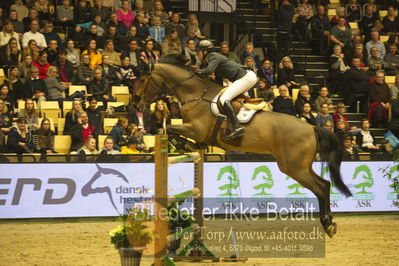 Dansk varmblod hingstekåring.
STUTTERI ASK Grand Prix 150 cm CSI3
Nøgleord: pål flam;bobby balou