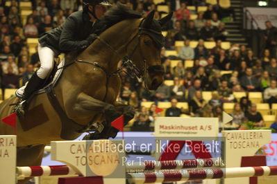 Dansk varmblod hingstekåring.
STUTTERI ASK Grand Prix 150 cm CSI3
Nøgleord: pål flam;bobby balou