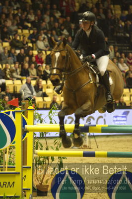 Dansk varmblod hingstekåring.
STUTTERI ASK Grand Prix 150 cm CSI3
Nøgleord: stine cassoe jacobsen;conshillo