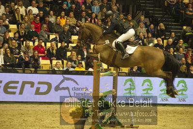 Dansk varmblod hingstekåring.
STUTTERI ASK Grand Prix 150 cm CSI3
Nøgleord: stine cassoe jacobsen;conshillo