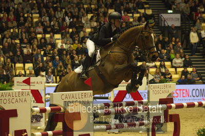 Dansk varmblod hingstekåring.
STUTTERI ASK Grand Prix 150 cm CSI3
Nøgleord: conshillo;stine cassoe jacobsen