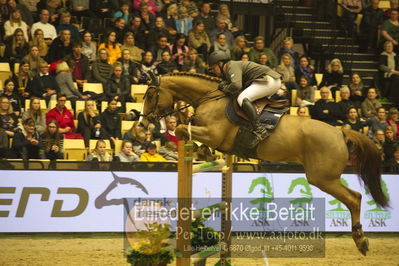 Dansk varmblod hingstekåring.
STUTTERI ASK Grand Prix 150 cm CSI3
Nøgleord: thomas brandt;kia v