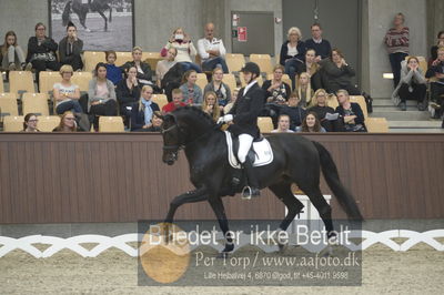 Dansk Rideforbunds Championats finaler 2018 dressur
Dansk Rideforbunds Championats finaler 2018
5 års præmie - 6års klassen
Nøgleord: andreas helgstrand;ferrari 134