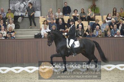 Dansk Rideforbunds Championats finaler 2018 dressur
Dansk Rideforbunds Championats finaler 2018
5 års præmie - 6års klassen
Nøgleord: andreas helgstrand;ferrari 134