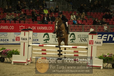 Dansk varmblod hingstekåring.
Unghestechampionatet spring
Nøgleord: chinett ask;karen møller rohde