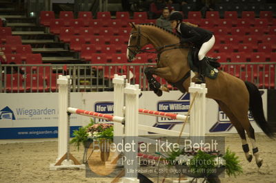 Dansk varmblod hingstekåring.
Unghestechampionatet spring
Nøgleord: chinett ask;karen møller rohde