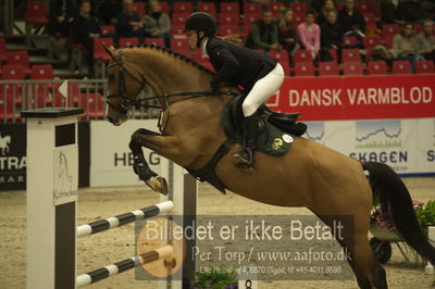 Dansk varmblod hingstekåring.
Unghestechampionatet spring
Nøgleord: chinett ask;karen møller rohde