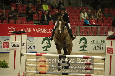 Dansk varmblod hingstekåring.
Unghestechampionatet spring
Nøgleord: carisma;charlotte schreiber