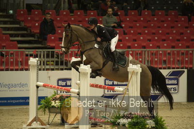 Dansk varmblod hingstekåring.
Unghestechampionatet spring
Nøgleord: carisma;charlotte schreiber