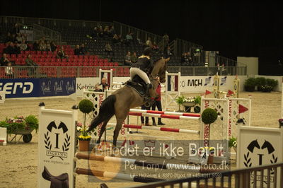 Dansk varmblod hingstekåring.
Unghestechampionatet spring
Nøgleord: carisma;charlotte schreiber