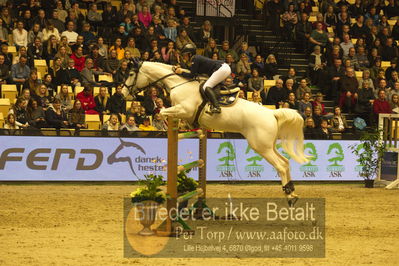 Dansk varmblod hingstekåring.
STUTTERI ASK Grand Prix 150 cm CSI3
Nøgleord: louise saywell;ushuia d'aurel