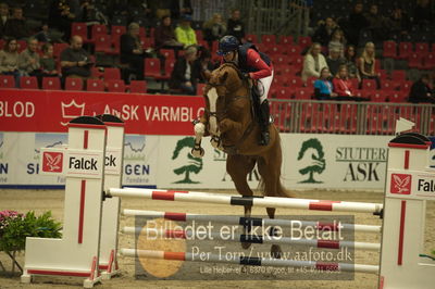 Dansk varmblod hingstekåring.
Unghestechampionatet spring
Nøgleord: cliffhanger;rikke haarstup kristensen