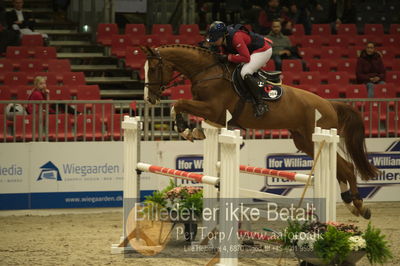 Dansk varmblod hingstekåring.
Unghestechampionatet spring
Nøgleord: cliffhanger;rikke haarstup kristensen
