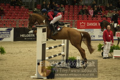 Dansk varmblod hingstekåring.
Unghestechampionatet spring
Nøgleord: cliffhanger;rikke haarstup kristensen